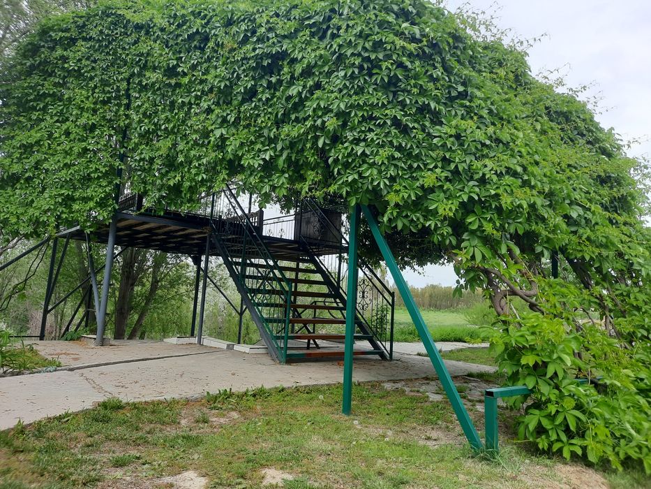 Дача аренда dacha