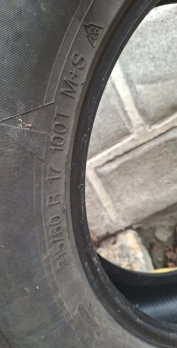 Зимни гуми вредещайн