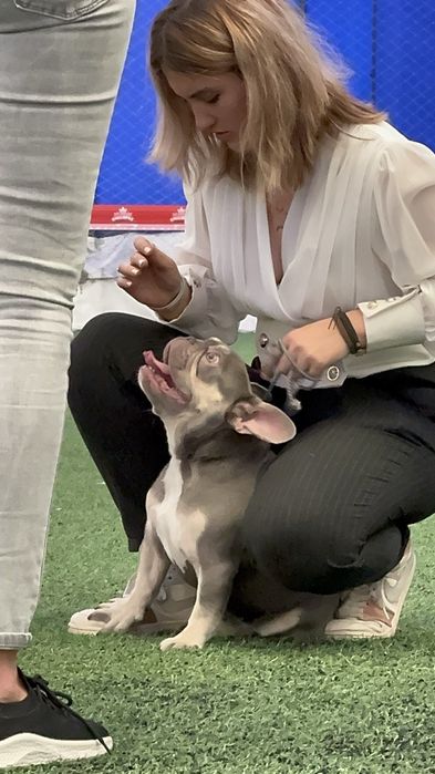 Вязка! Шикарный лиловый мальчик