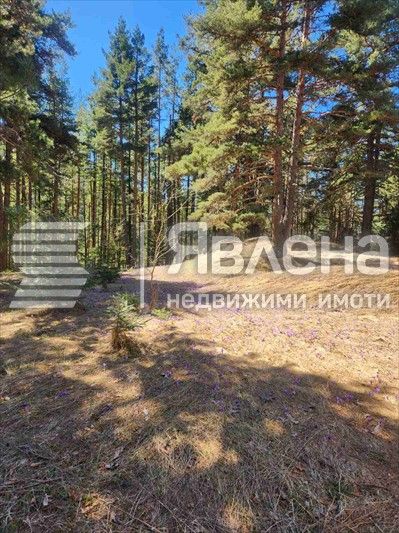 Продава се Къща в с. Бели Искър, Област София-област - 1006 кв.м за 596 €/кв.м - Снимка #9