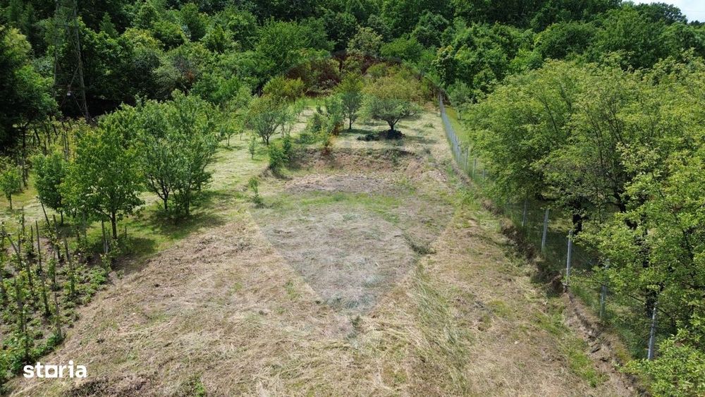 Valea Borcutului,Teren intravilan de vanzare, intre case