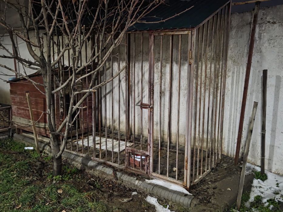 Вальер для собак