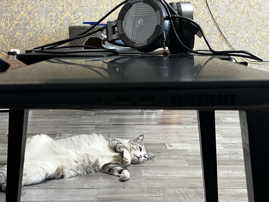 Ноутбук lenovo RTX3050