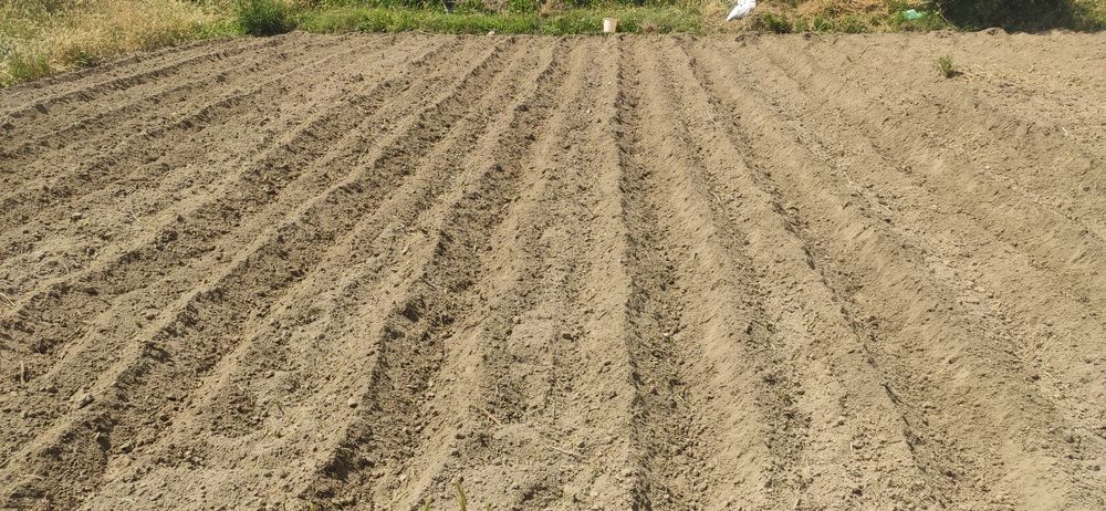 Бог килиш ер огдариш