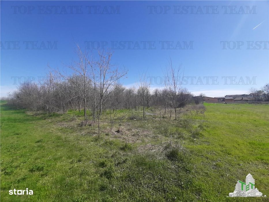 Teren 4000 mp + casa demolabila in BragadiruVarteju (Magurele)