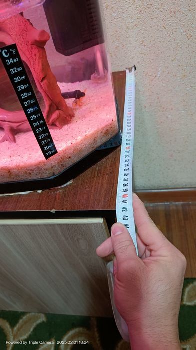 Akvarium quyma akril 250 Tali Ulgurib qoling+baliqlari bilan