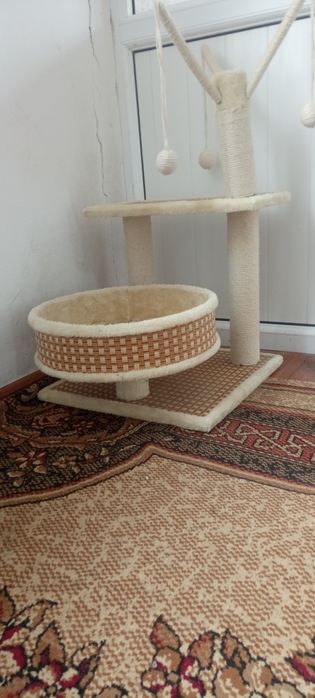 Дом для кошки в хорошем цене