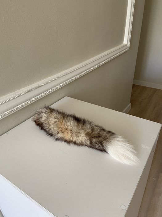 Хвост г.Актау