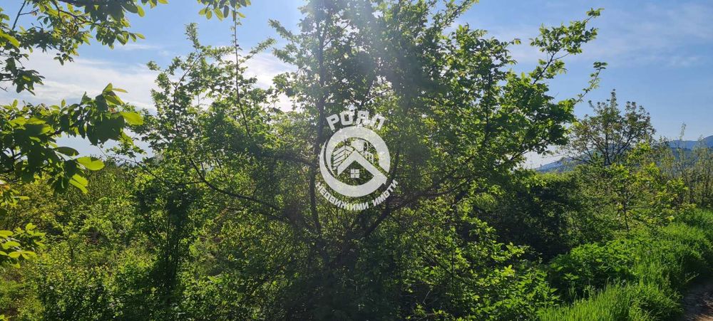 Продава се Парцел в Асеновград - 1600 кв.м за 35 €/кв.м - Снимка #7