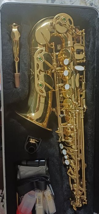 Saxofon de începători,Parrot