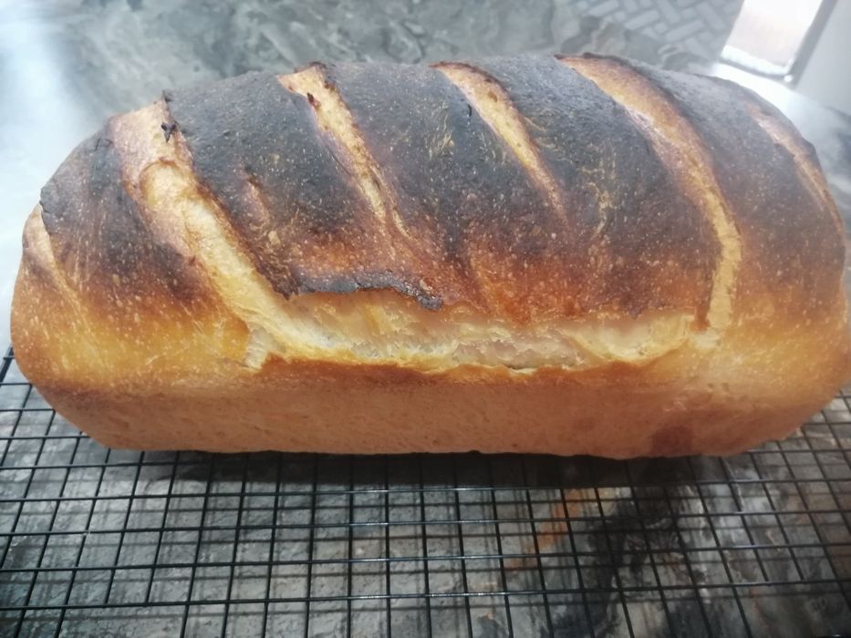 Vând maia naturala fără drojdie, pentru pâine, cozonac și aluaturi