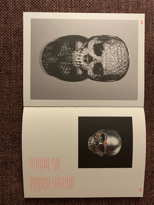 Книга The Book of Skulls
