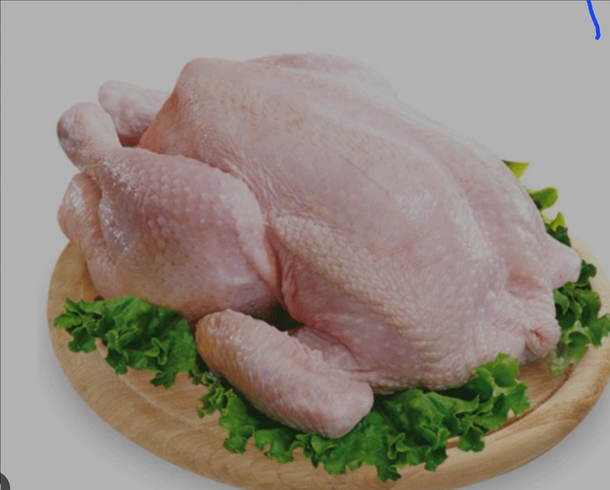 Тушка бройлера свежезабитый