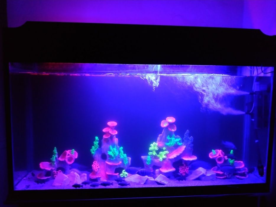 Аквариум ремонт любой часть реставрация аквариумной мебели