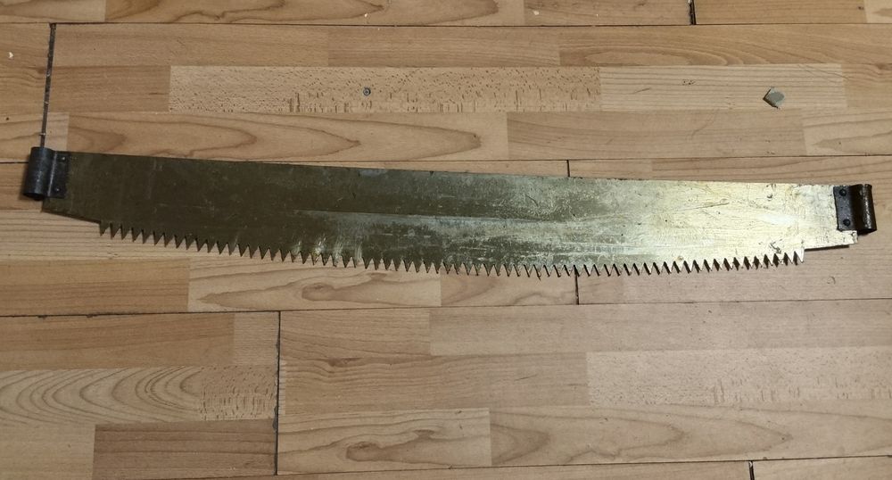 Пила Дружба, новая СССР.