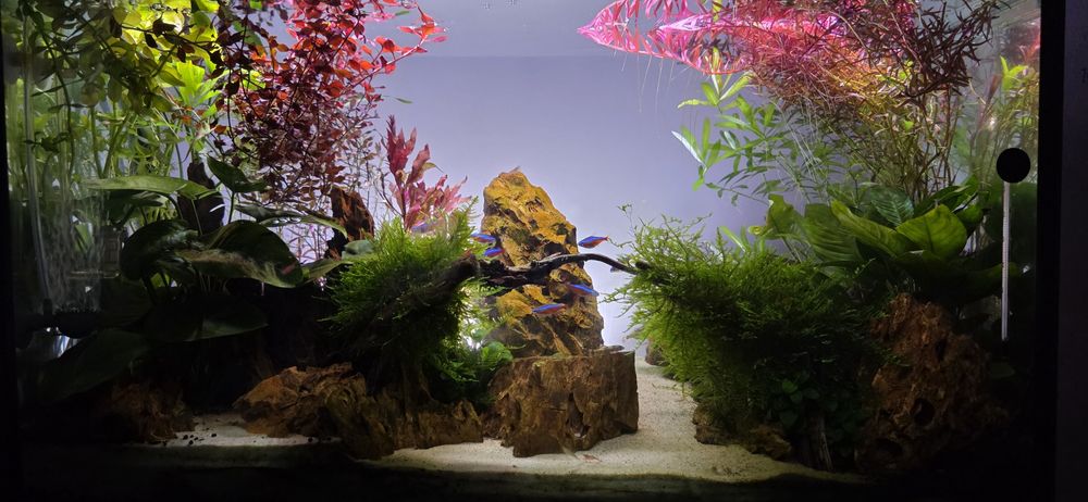 Aквариум AQUAL 83 L