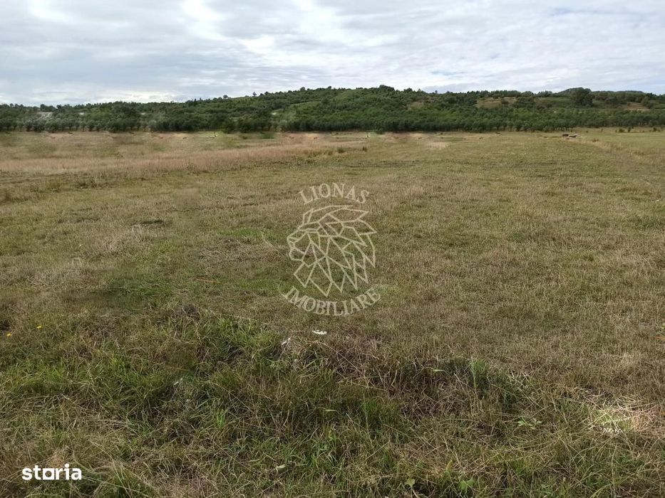 TEREN INTRAVILAN 5000 mp-ideal case,hale-Livezile PRET PROMO!