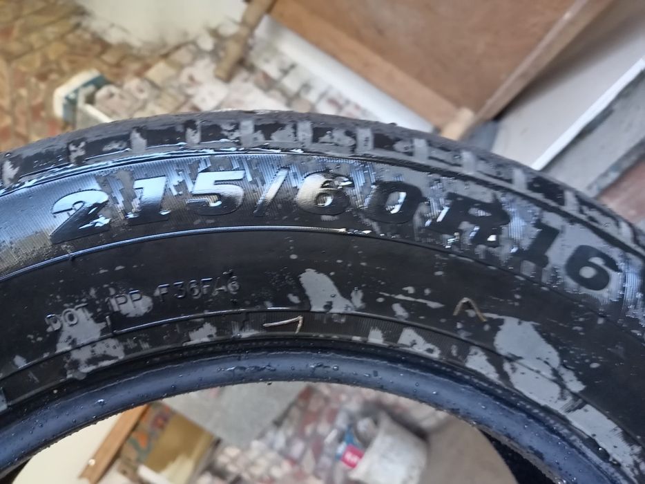 Коблыт шин летный