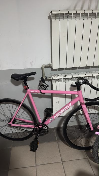 Fixed gear ardently arena lite