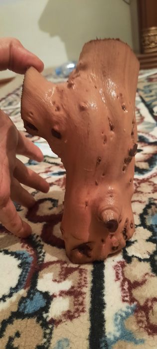 Выноградная каряга для аквариума. Сифати ало даражада хархил  шаклда