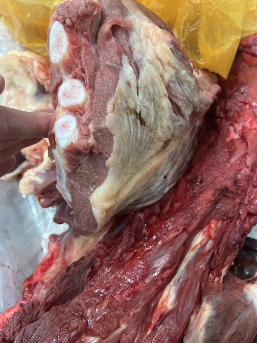 Соғым * Жабағы *