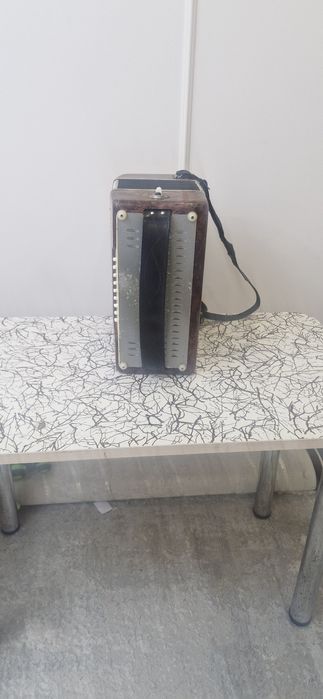 Баян - гормонь, гормошка