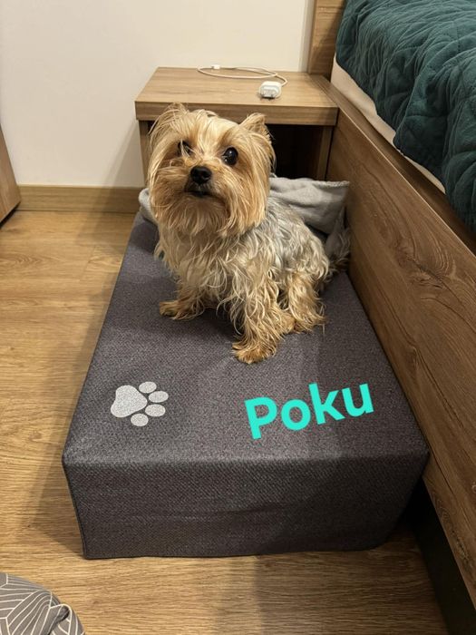 Изработваме МАТРАК -СТЪПАЛО    за кучета