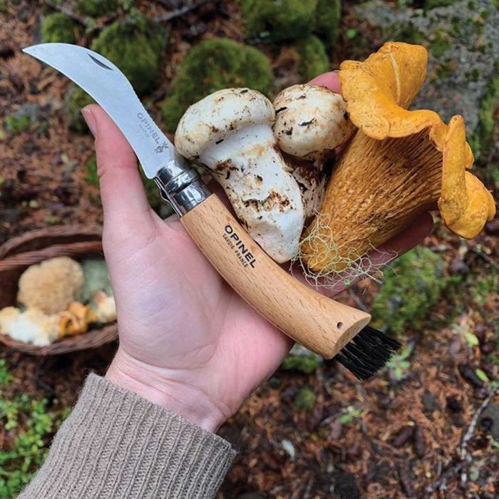 OPINEL нож за гъби ОПИНЕЛ N°08 Mushroom гъбарски нож с четка