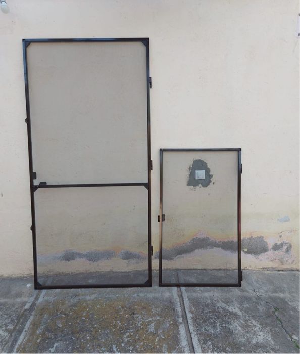 Plase insecte/ tantari