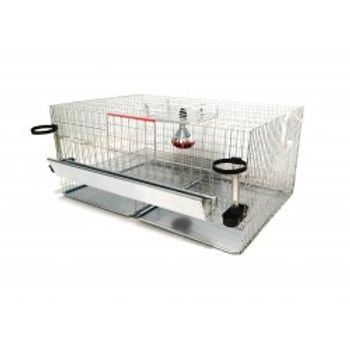 Cușcă profesională creștere pui – stare excelentă