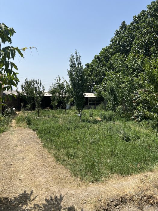 Дродаётся дача в стороне племсовхоза…