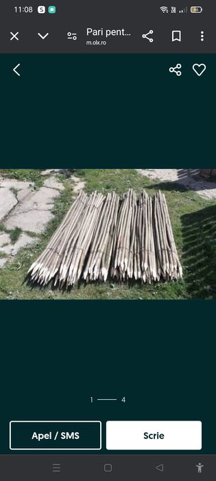 Vând pari  de fasole și roși