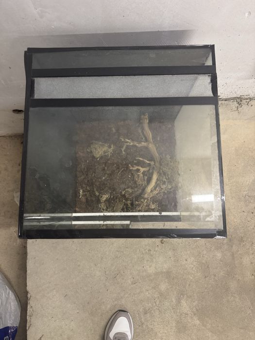 Терариум за отглеждане на влечуги.