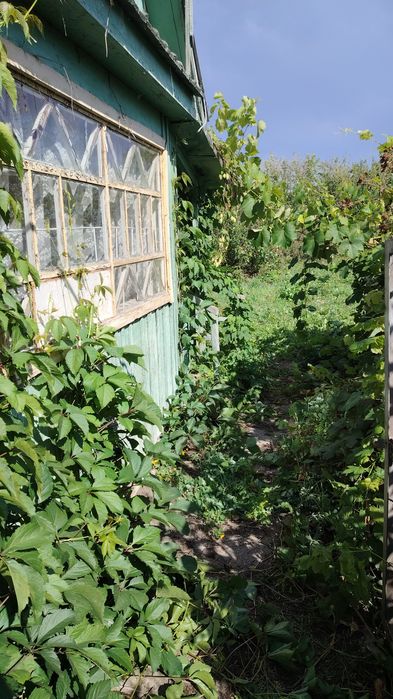 Продам дачу в Бухтарме