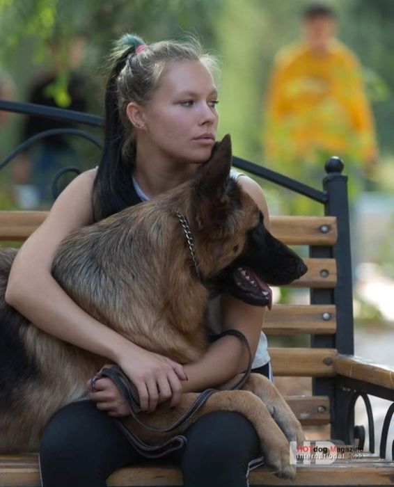 Дрессировка собак -Кинолог