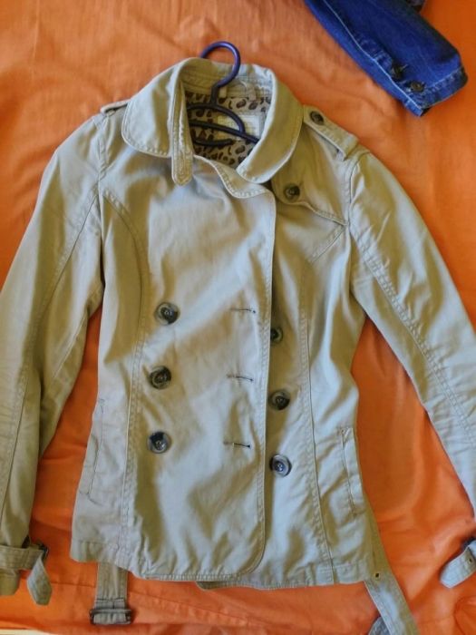 Geci dama primavara toamna