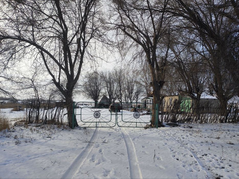 Продается откормочная Фазенда