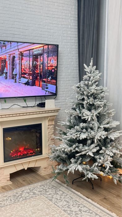 Ёлки на Новый год 2026