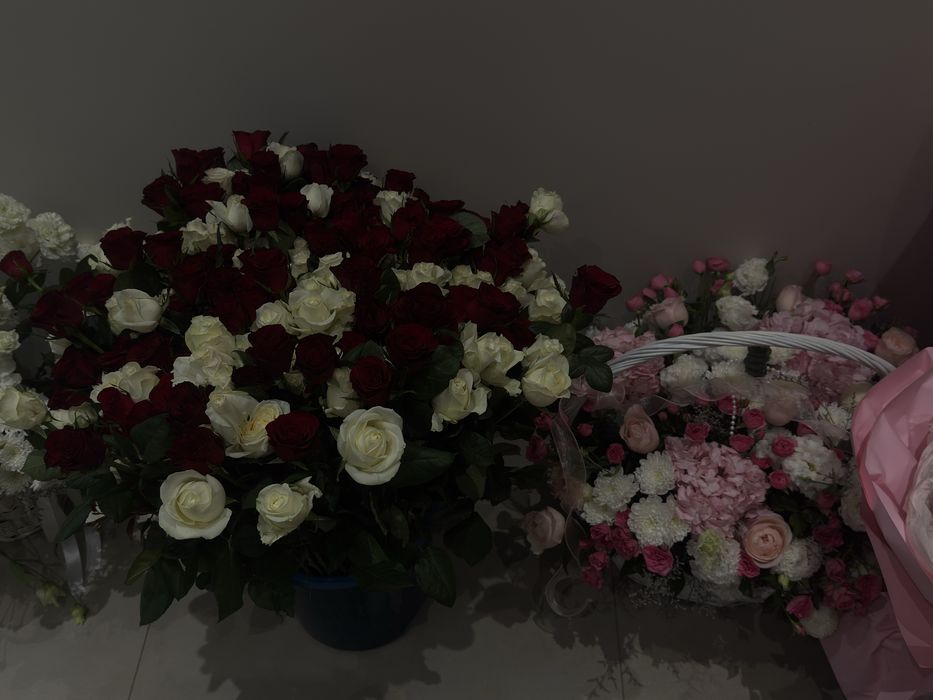 Продам цветы свежие