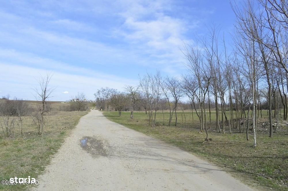 Suseni - Teren intravilan rezidential, suprafata 4000 mp