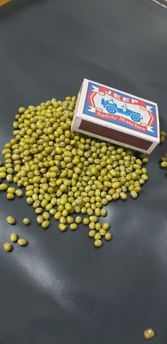 МАШ высшего сорта