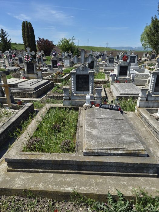 Curatare morminte Campia Turzii