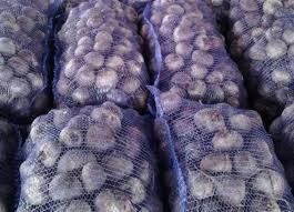 Свекла Кормовая для скота