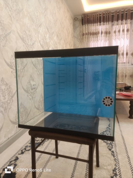 Аквариум для риб