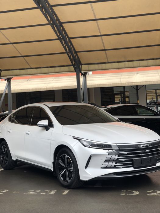 Byd Chazor 2023 Srochnaa