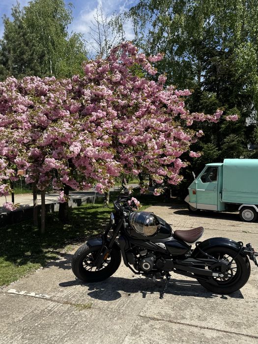 CF MOTO cl-c 450 BOBBER ‘25