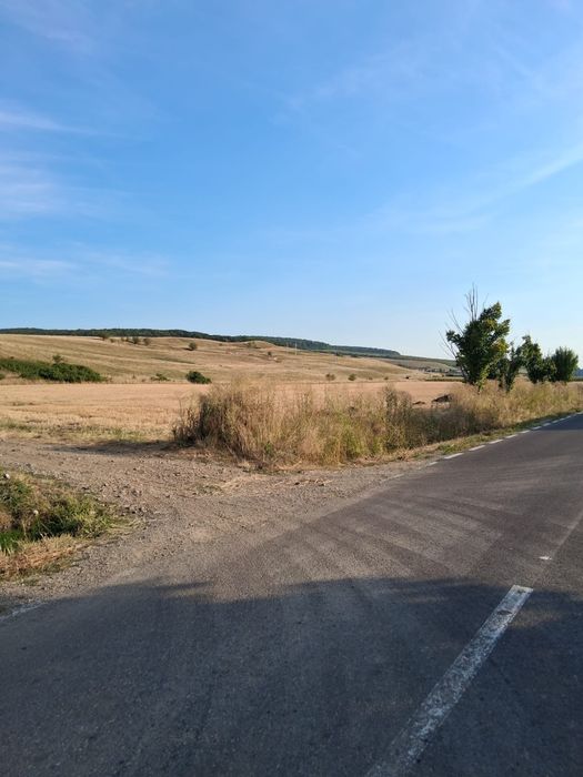 Teren de vanzare