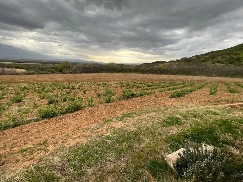 Продава се Къща в Карлово - 40 кв.м за 957 €/кв.м - Снимка #3