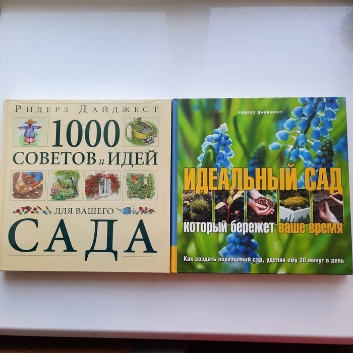 Рецепты готовить быстро просто и вкусно царский стол недорого