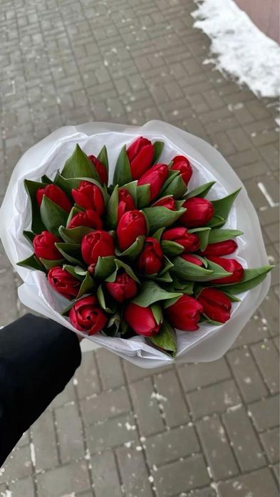 Тюльпан!!!Цветы!!!Шымкент!!!